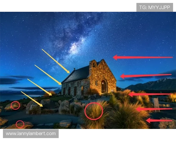 全面解析星空网页登录的功能特色与使用技巧