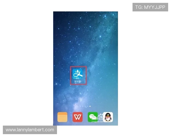 星空在线登录app登录页面常见问题及解决方案大全
